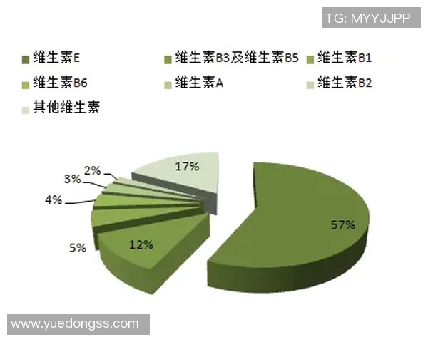 广州排球队个人能力分析与表现评估研究报告
