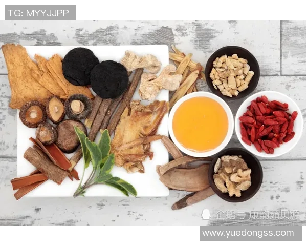 成都排球队的阵地战策略揭秘与深度分析