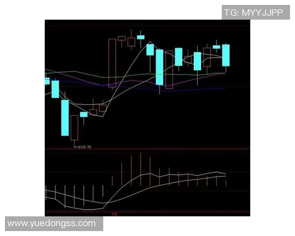 成都乒乓球队防守策略深度解析与技术探讨
