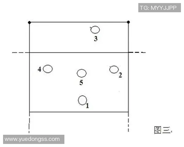 杭州排球队中路突破分析与战术反思探讨