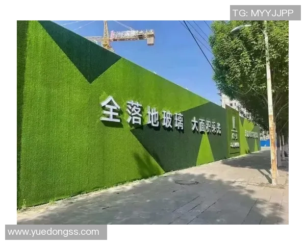 电动车足球明星引领绿色出行新风尚助力环保与运动的完美结合