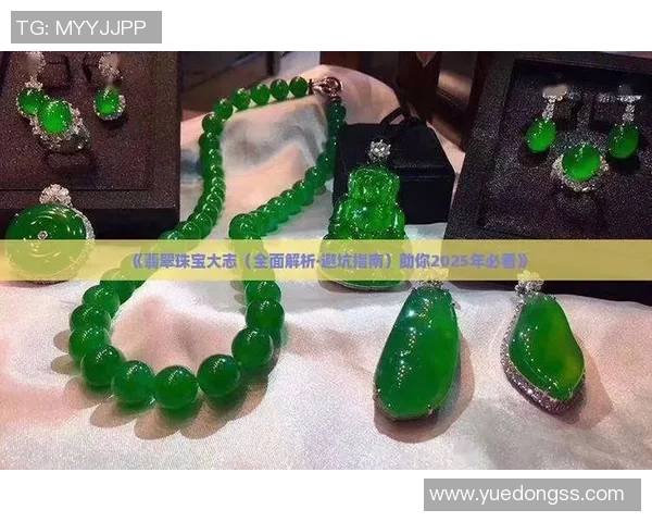 赵静独家分享排球心得与技巧助你提升球技的全面指南