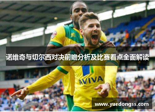 诺维奇与切尔西对决前瞻分析及比赛看点全面解读